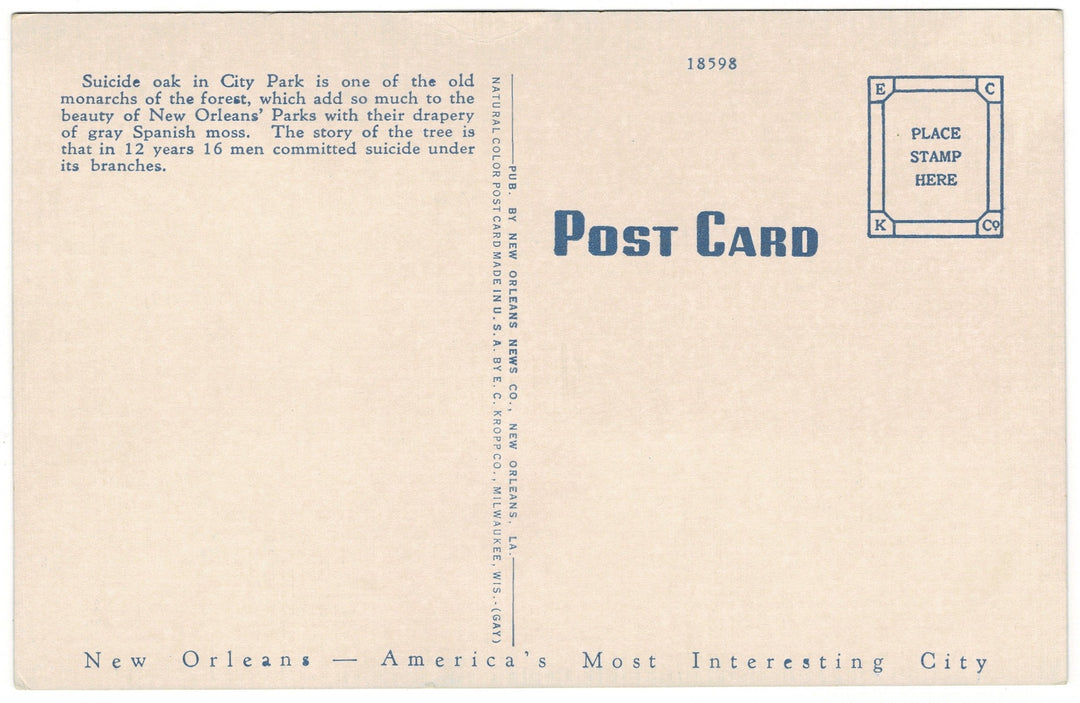 Vintage postcard.