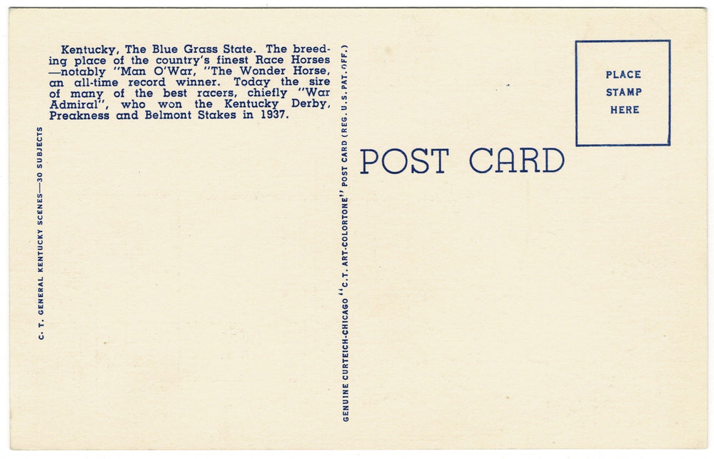 Vintage postcard.