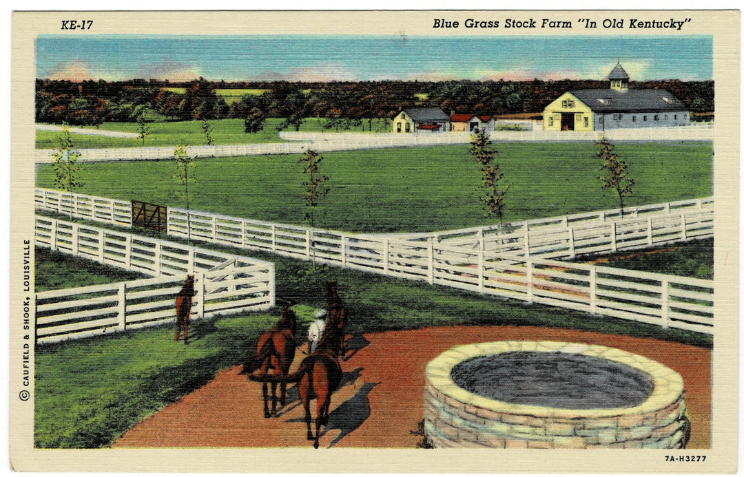 Vintage postcard.