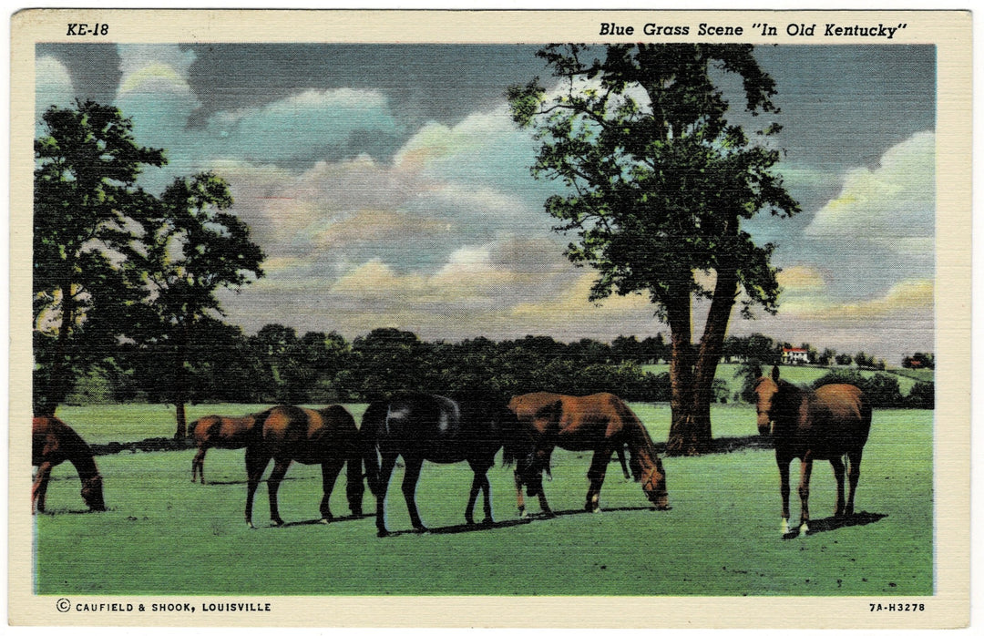 Vintage postcard.