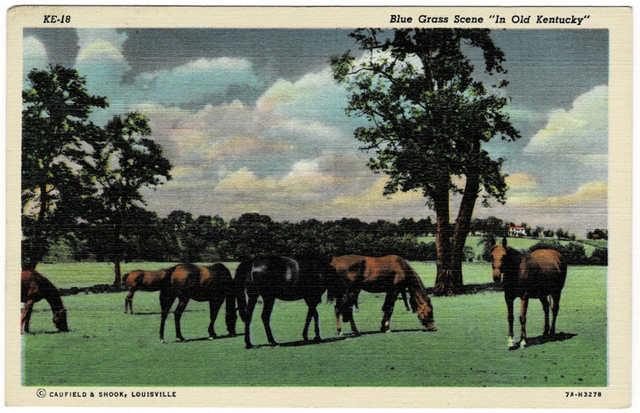 Vintage postcard.