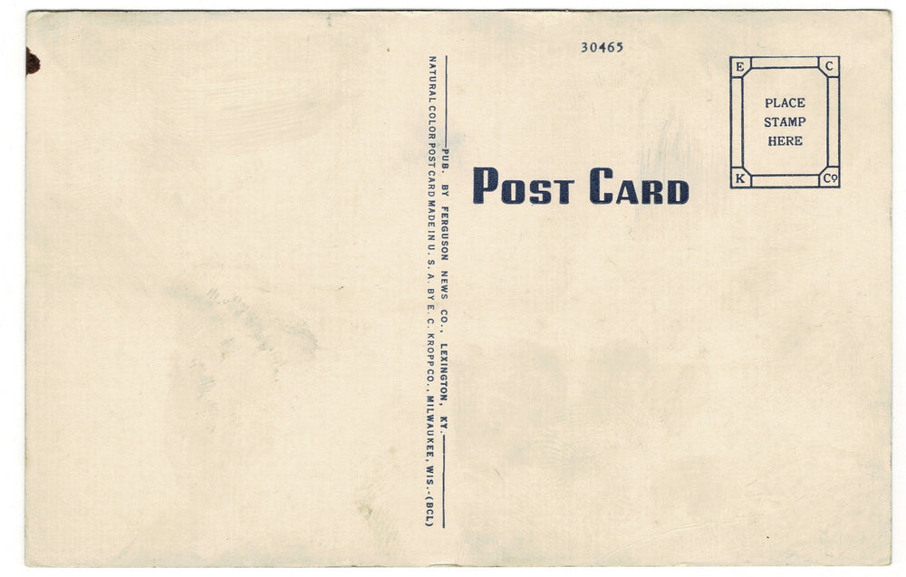 Vintage postcard.
