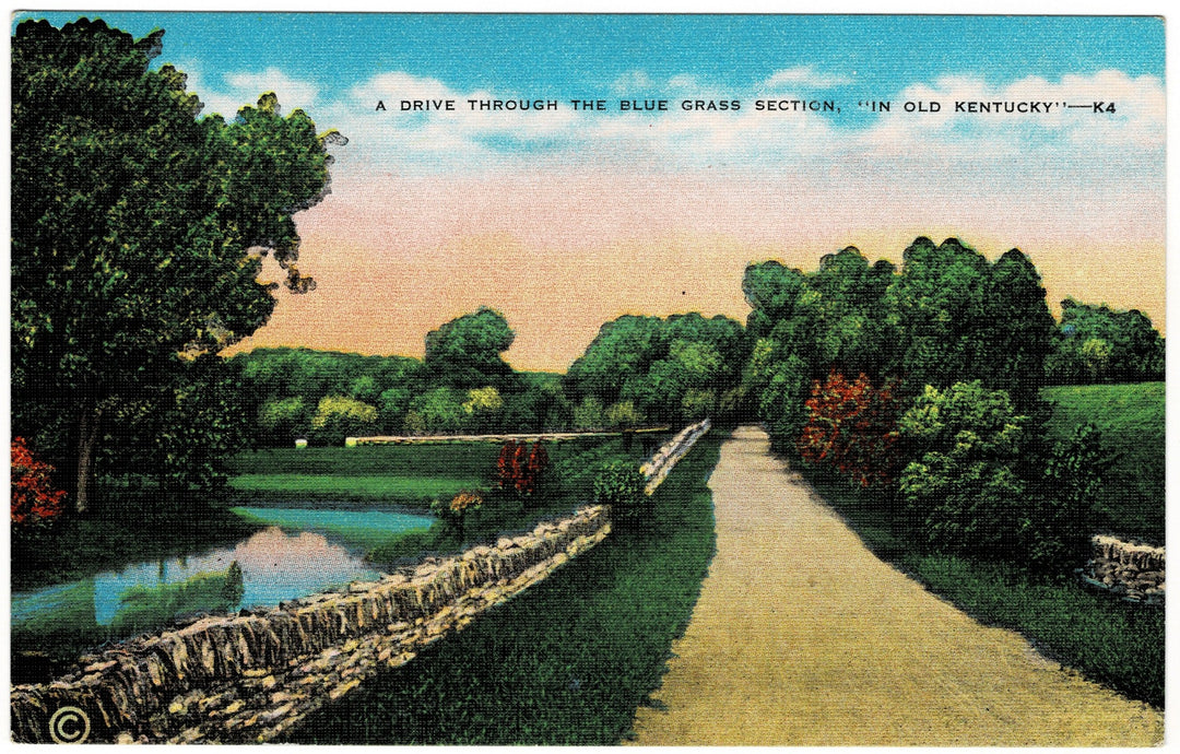 Vintage postcard.