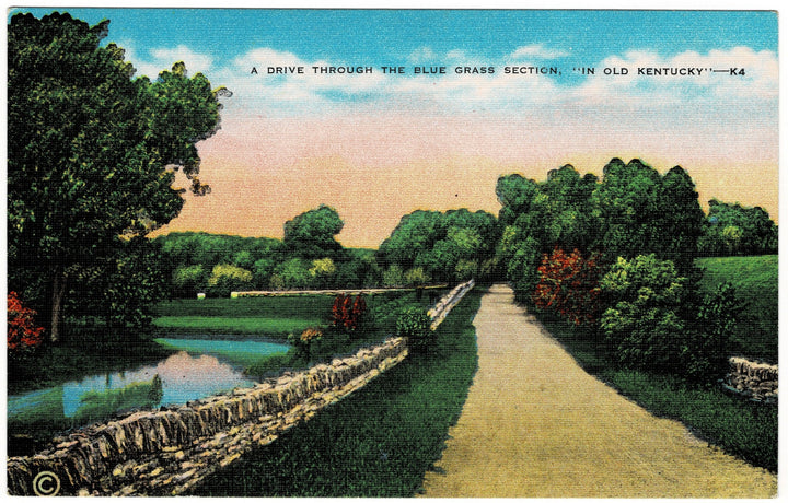 Vintage postcard.