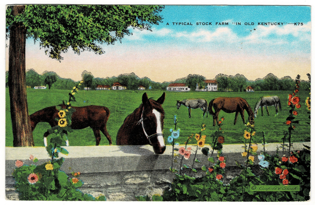 Vintage postcard.