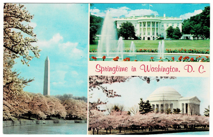Vintage postcard.