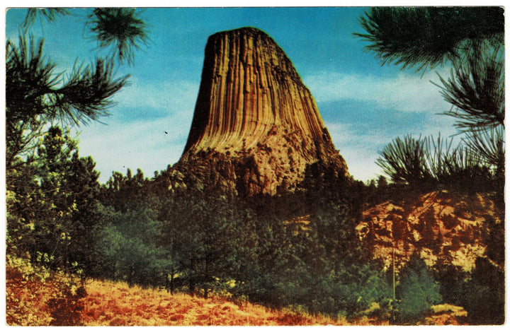 Vintage postcard.