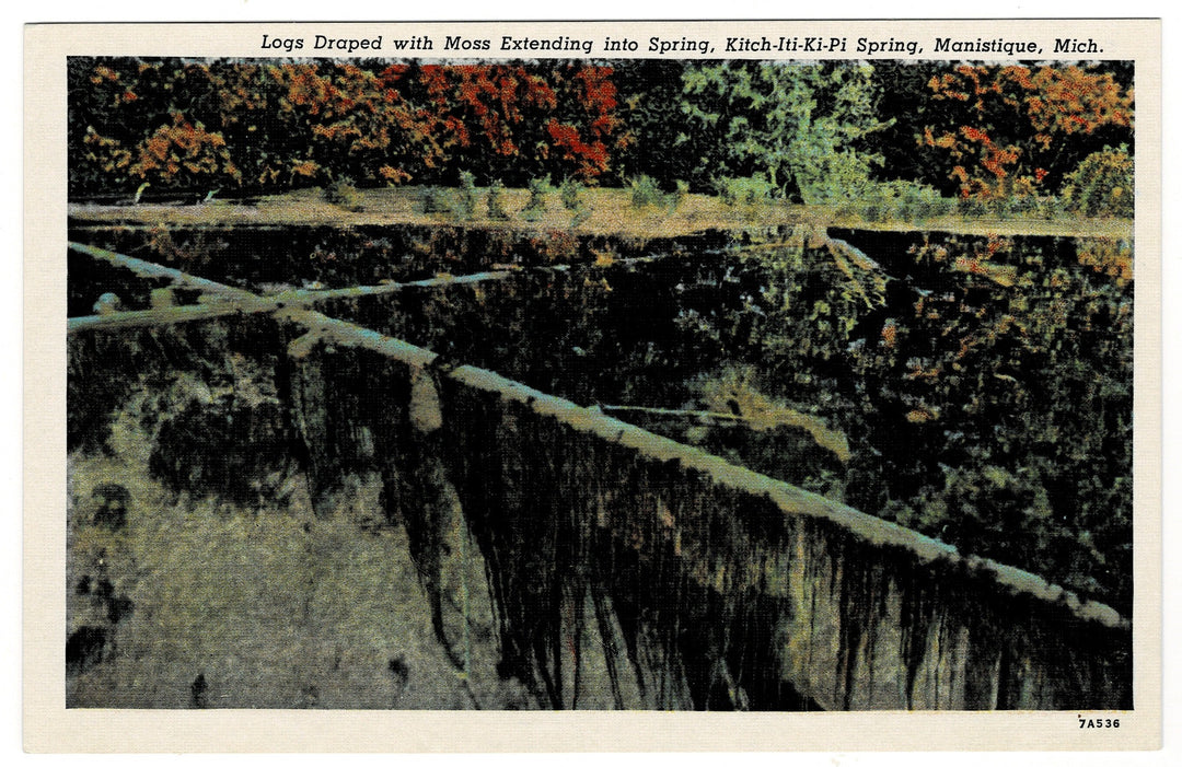 Vintage Postcard.