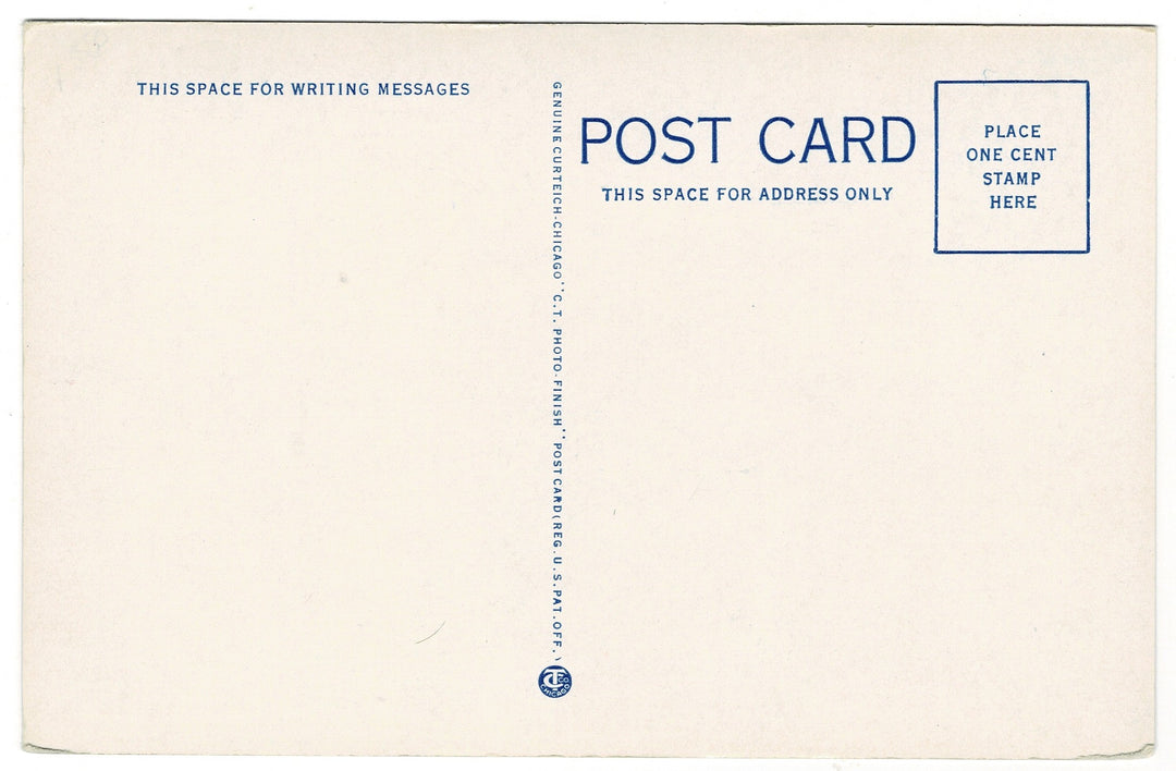  Vintage Postcard.
