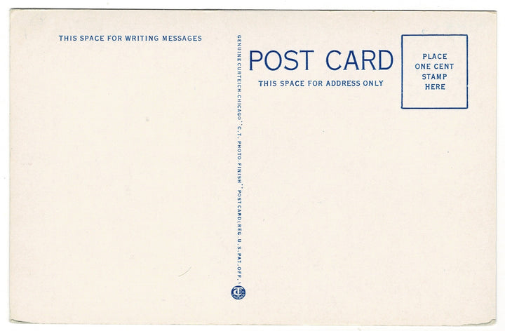  Vintage Postcard.