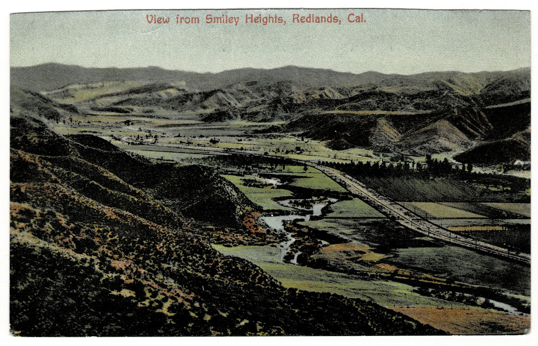 Vintage Postcard.