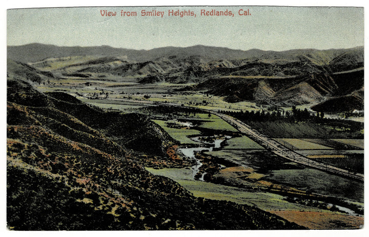 Vintage Postcard.