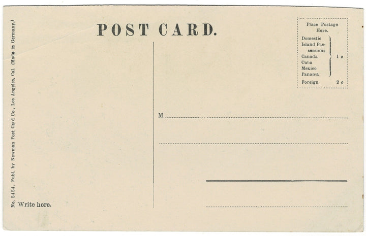 Vintage Postcard.