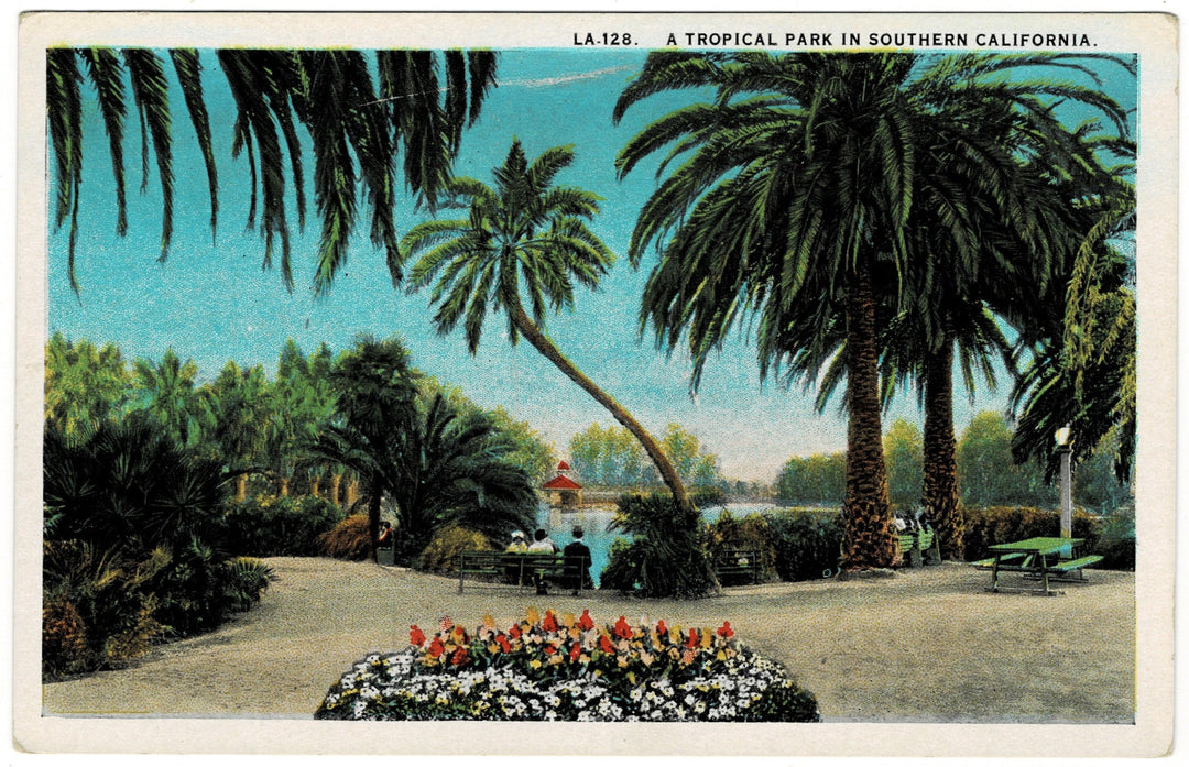 1929 Southern California Tropical Park Vintage Postcard.