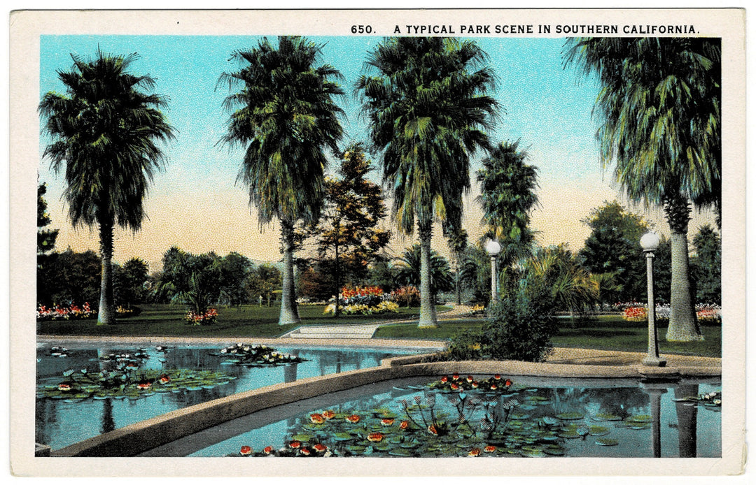 1929 Southern California Tropical Park Scene Vintage Postcard.