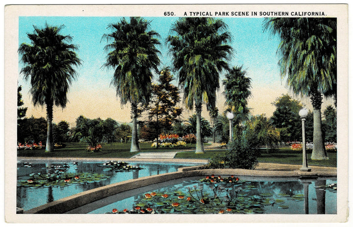 1929 Southern California Tropical Park Scene Vintage Postcard.