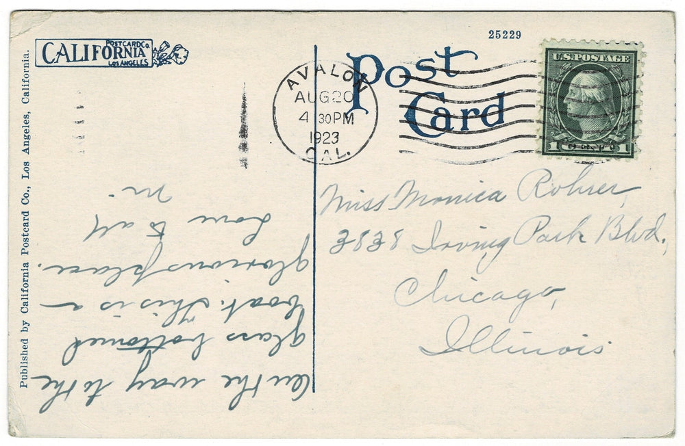 Vintage Postcard.