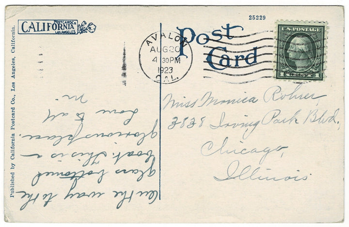 Vintage Postcard.