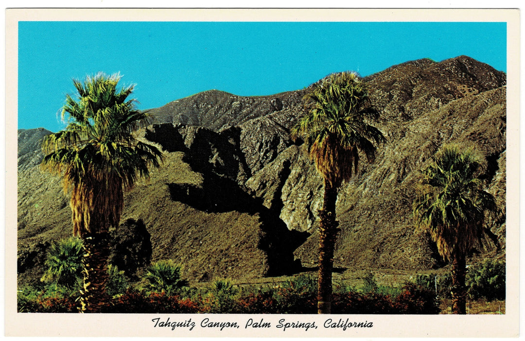 Vintage postcard.