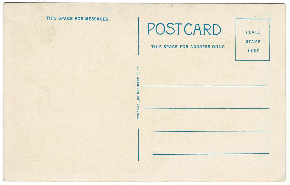 1918 Giant Sahuaro Cactus California Vintage Postcard.