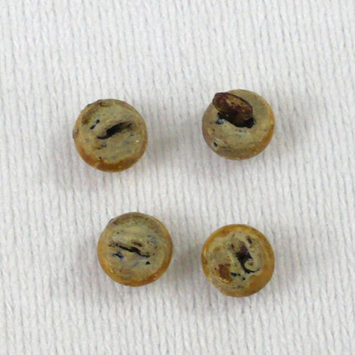 10L Composite Ball Dimi Shank Buttons