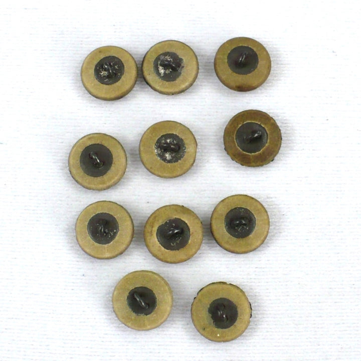 17L Composition Horn Shank Buttons