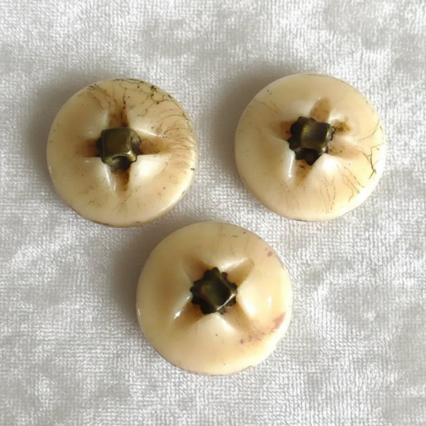 21L Set of Three Art Nouveau White Luster 4-way Box Shank Buttons, 1/2".