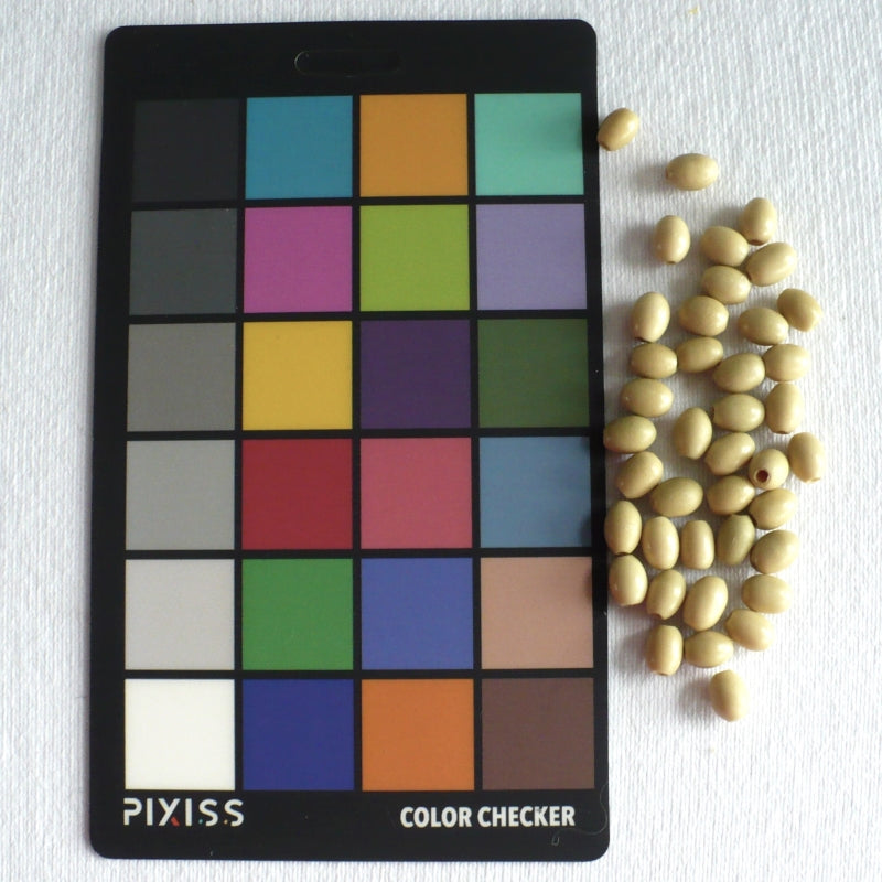 A Pixiss Color Checker card with a grid of color squares next to a group of Batch 1910s 5x7mm Smooth Oval Vegetable Ivory Beads.