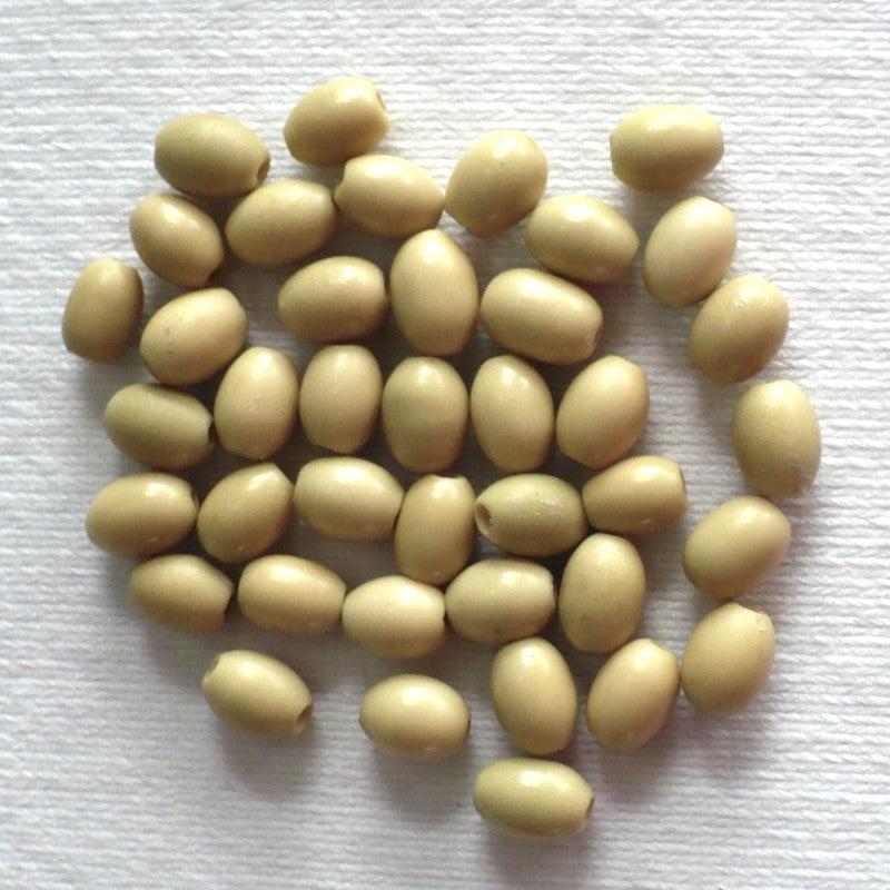 Batch 1910s 5x7mm Smooth Oval Vegetable Ivory Beads.
