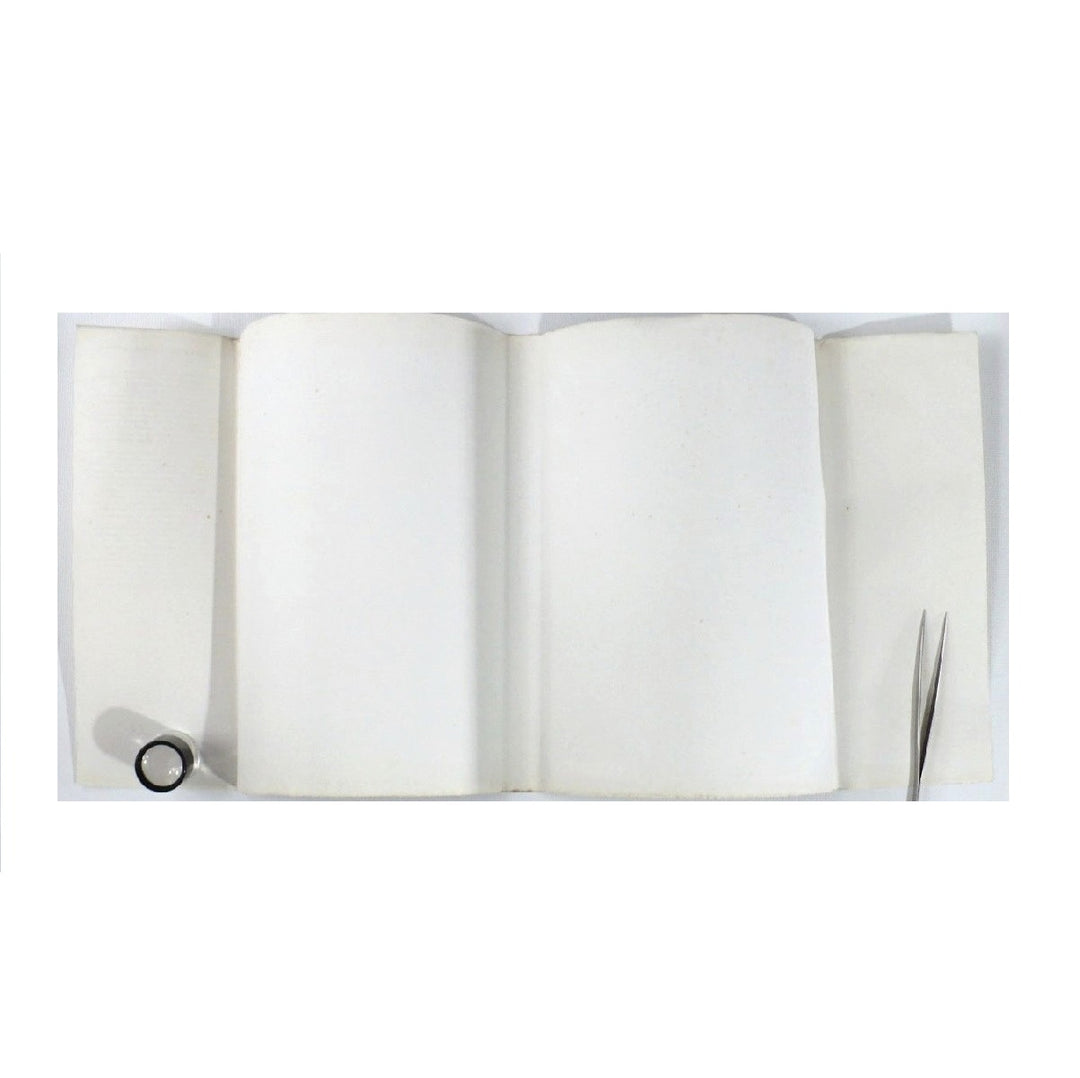 The Orientalists: Delacroix to Matisse 1984