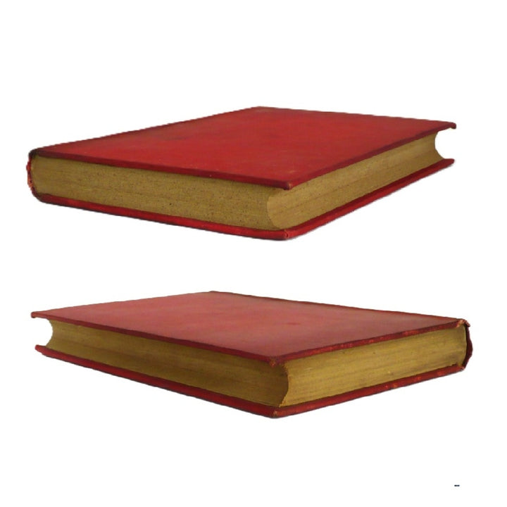 Lourdes by Emilio Zola, Spanish Edition, 1894.