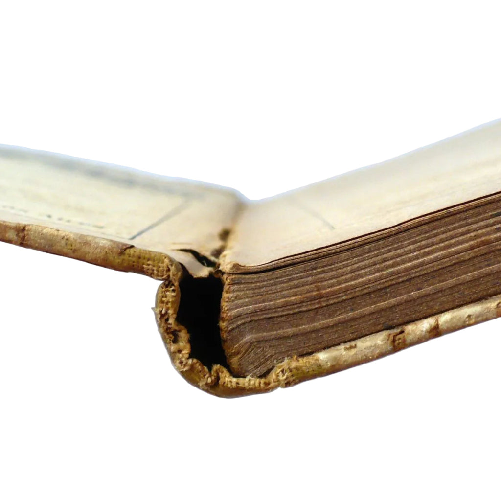 Nociones de Lengua Francesa Para Las Escuelas by Mantilla, 1914.