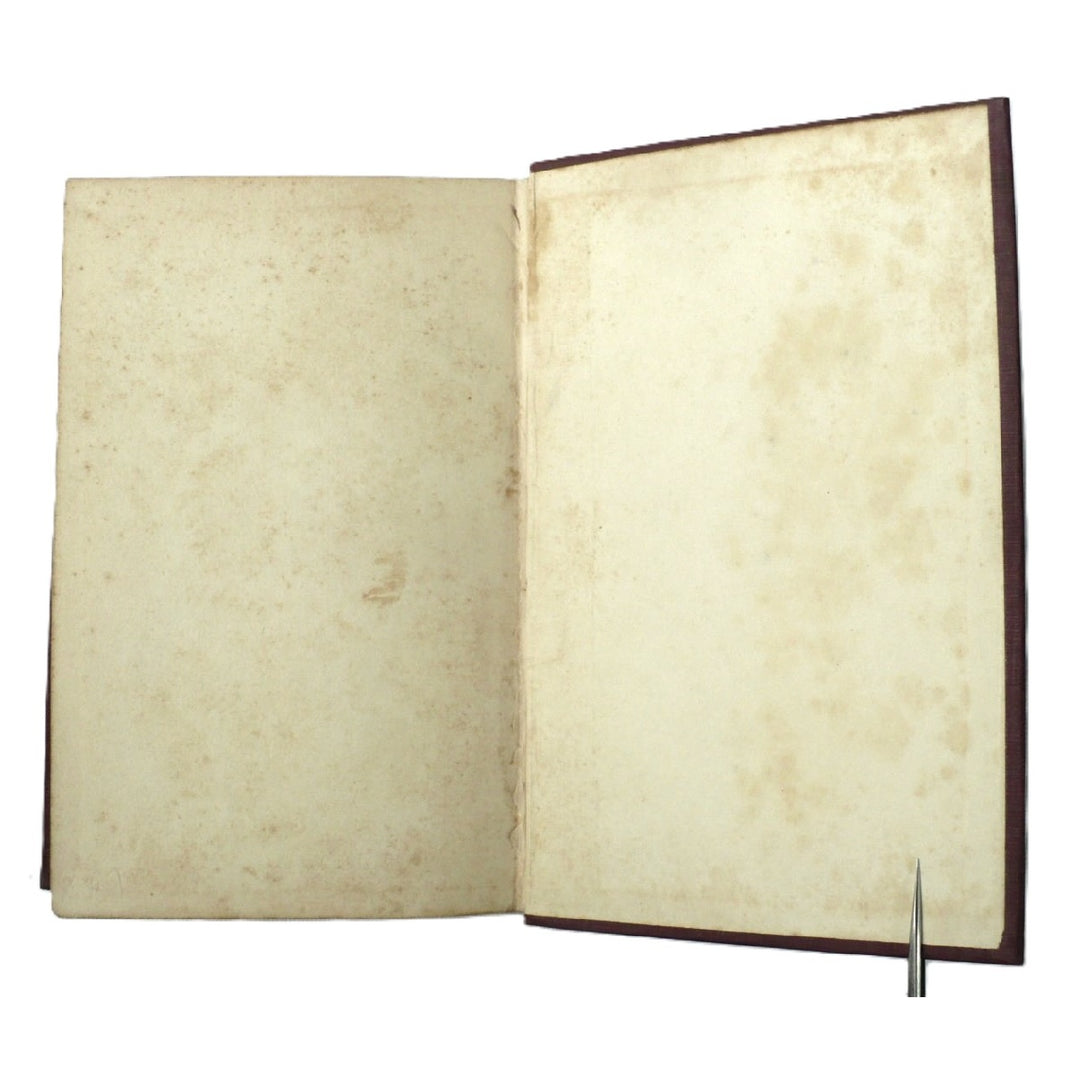 Bianca Cappello by Mary G. Steegmann 1913 First Edition.