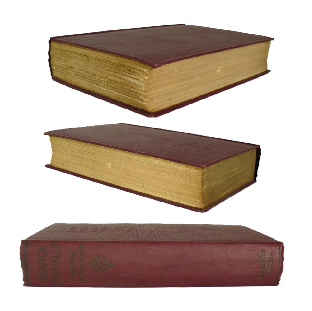 Bianca Cappello by Mary G. Steegmann 1913 First Edition.