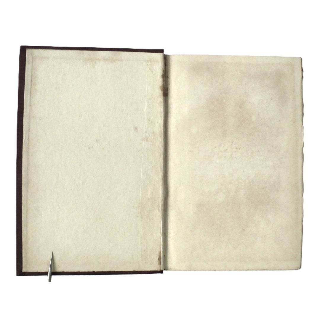 Bianca Cappello by Mary G. Steegmann 1913 First Edition.