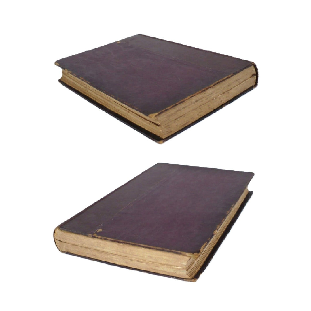 One Hundred Famous Men by de Soiza Reilly 1909 Spanish Edition.