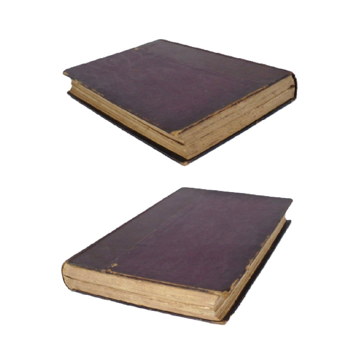 One Hundred Famous Men by de Soiza Reilly 1909 Spanish Edition.