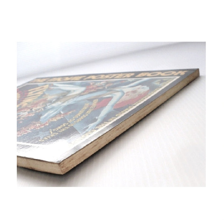  The Movie Poster Book, 1979, First Edition, First Printing, Chierichetti Schapiro.