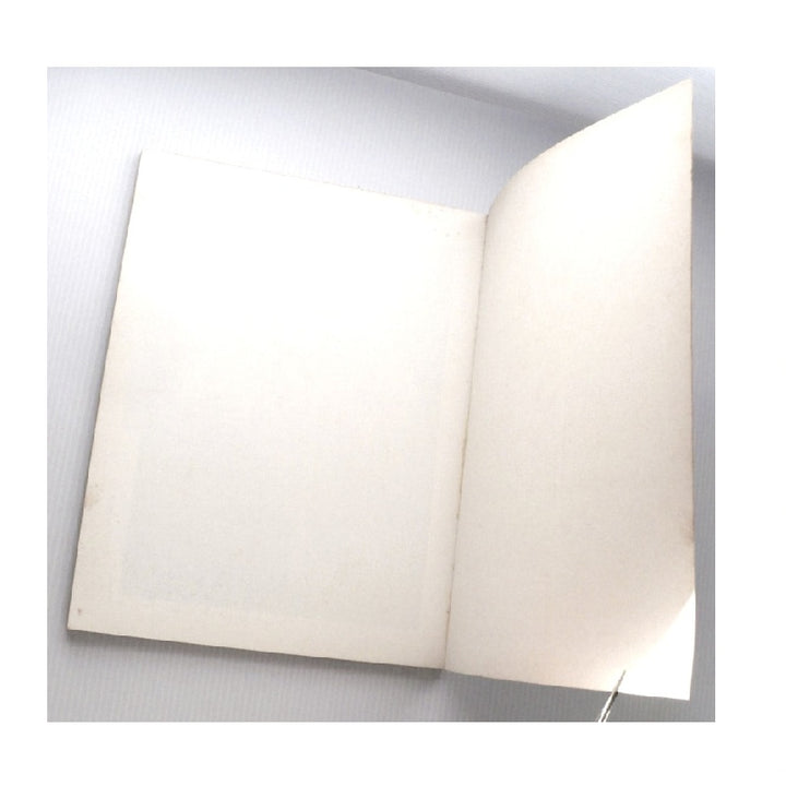  The Movie Poster Book, 1979, First Edition, First Printing, Chierichetti Schapiro.