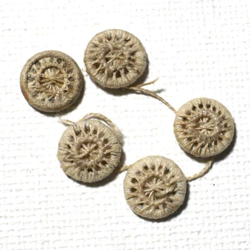 13L 1820s Ecru Dorset Buttons 5/16 Inches Set of 5