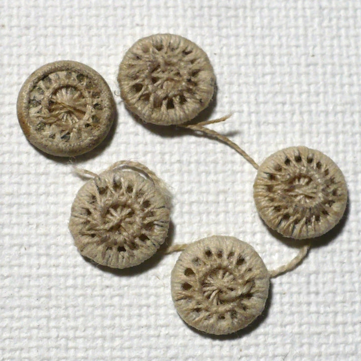 13L 1820s Ecru Dorset Buttons 5/16 Inches Set of 5