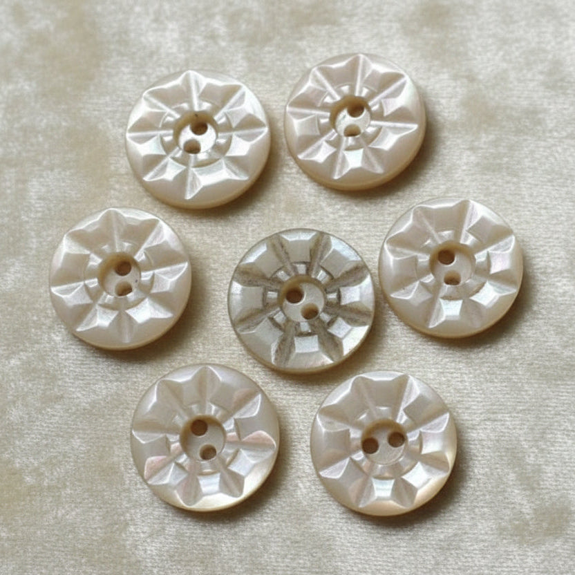 13L Set of Seven Two-Hole Fancy Conch Shell Dimi Buttons, 1/4"