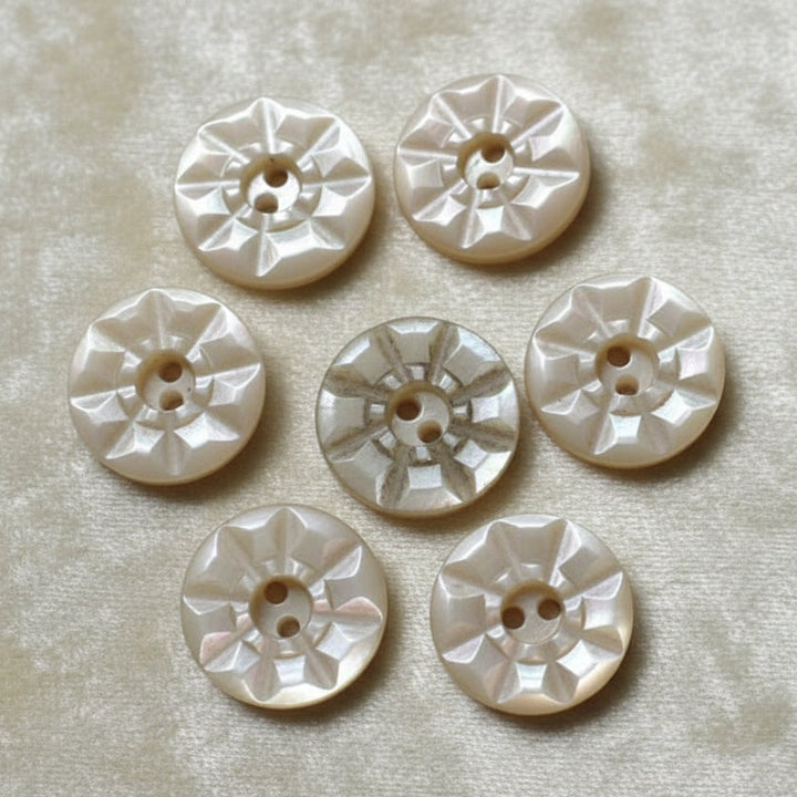 13L Set of Seven Two-Hole Fancy Conch Shell Dimi Buttons, 1/4"