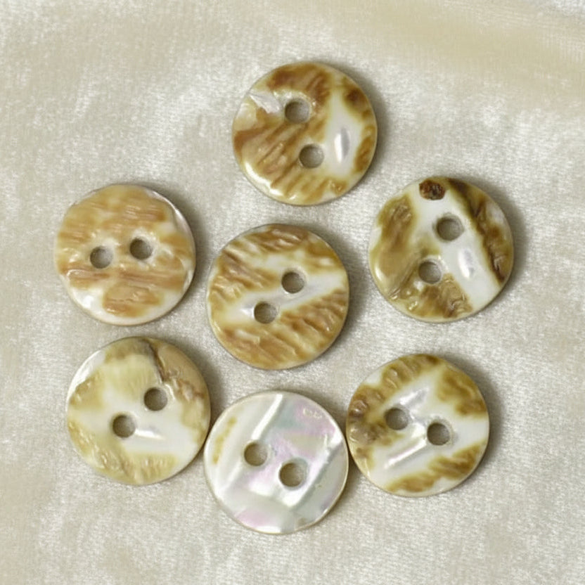 13L Set of Seven Two-Hole Fancy Conch Shell Dimi Buttons,  backs.