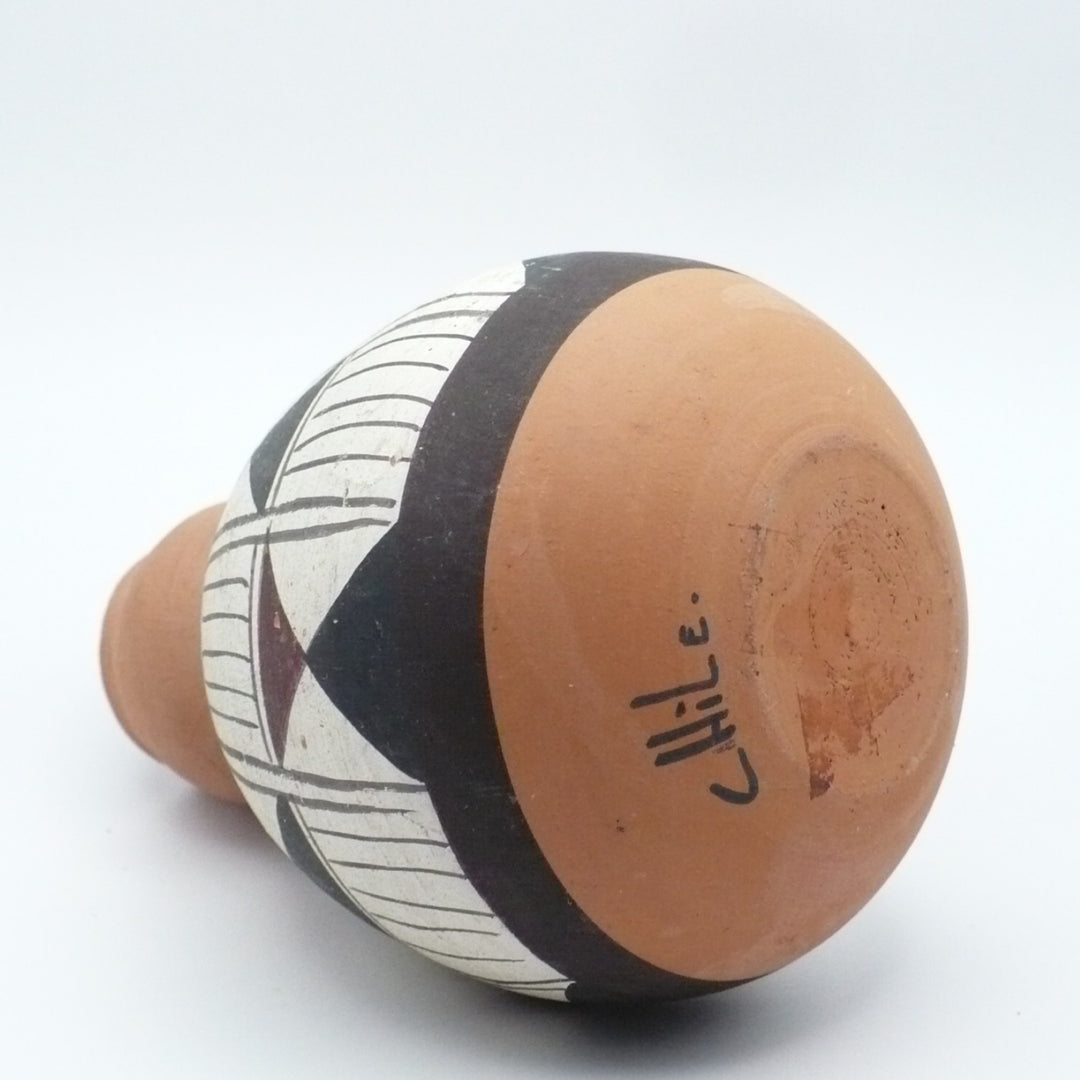 1950s Diaguita Style Pottery Collection: Jarro Pato & Vase - Chile