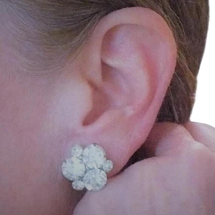 Earrings.