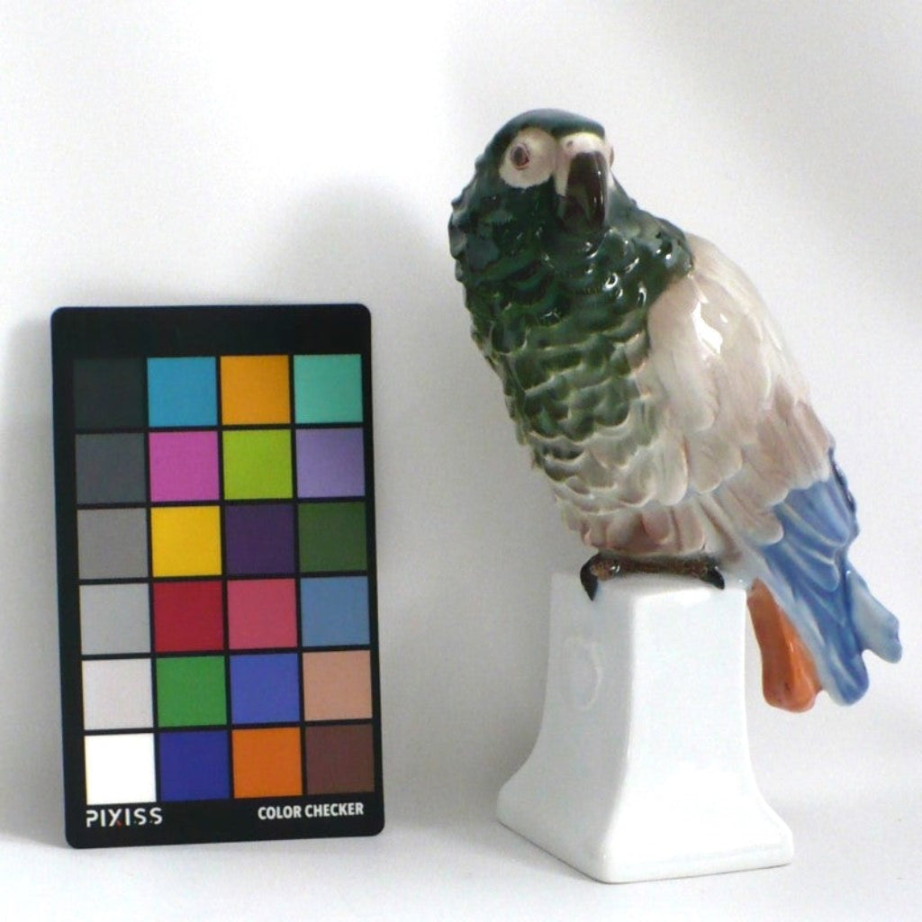 1919 Porcelain Parrot by Moldenhauer for Rosenthal Figurine.