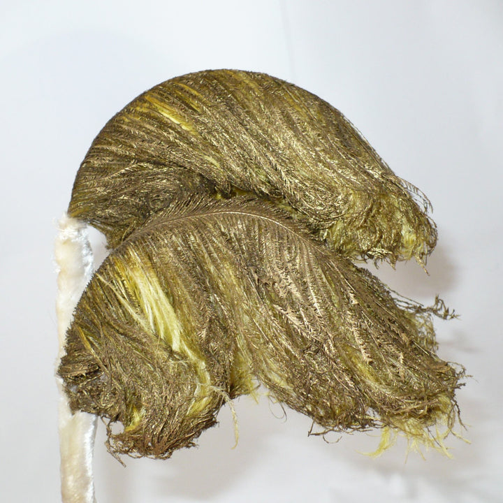 Antique millinery feather.