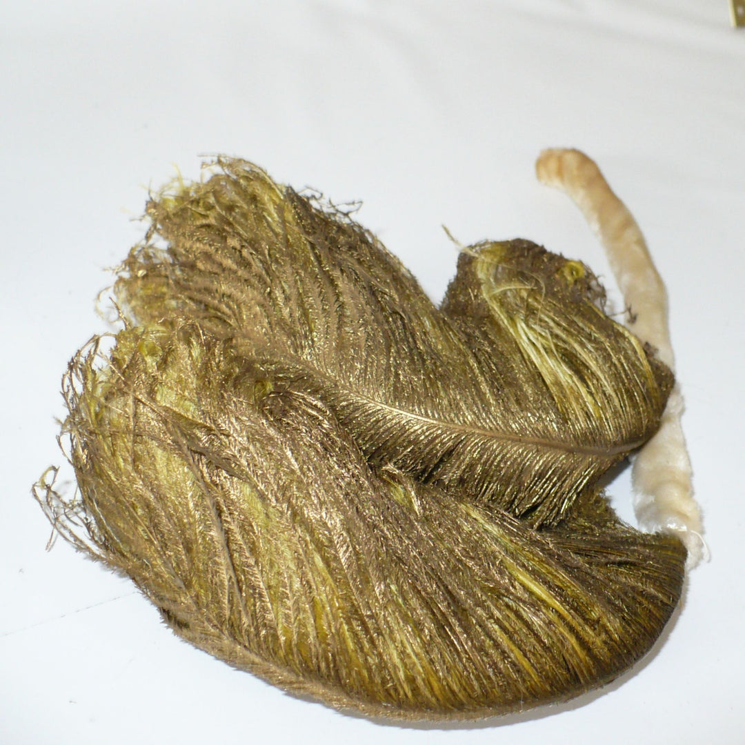 Antique millinery feather.