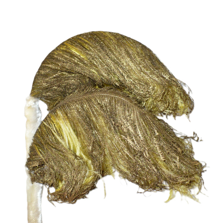 Antique millinery feather.